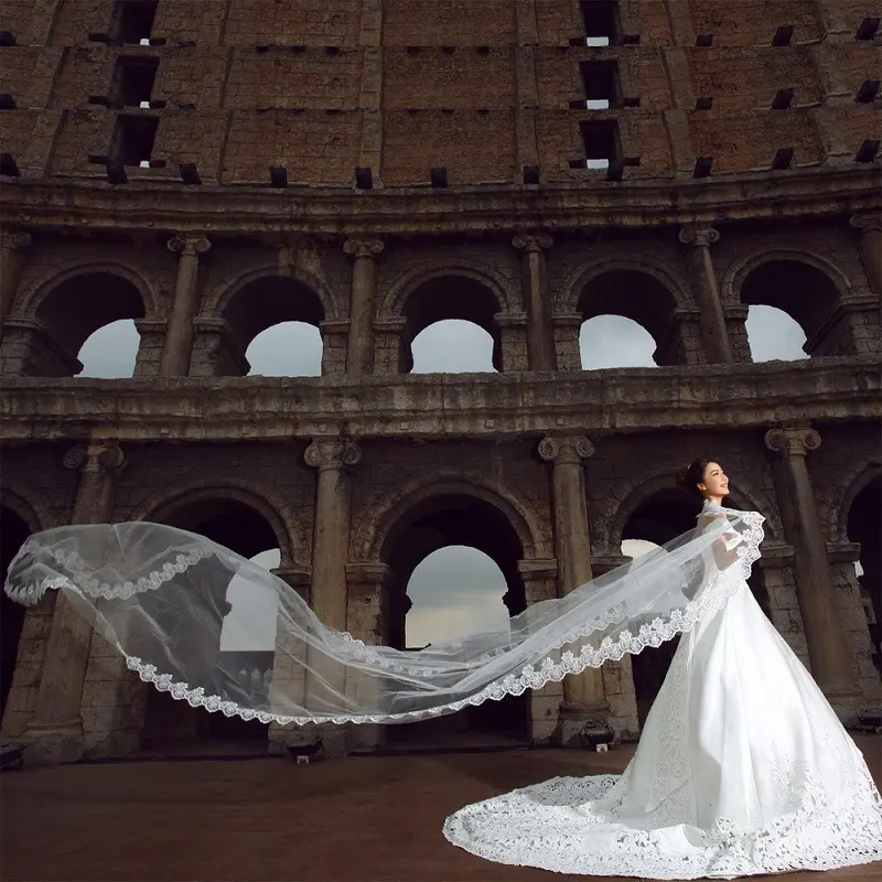 The Bride Wedding Veil Headdress Accessories Manufacturers 3 Meters