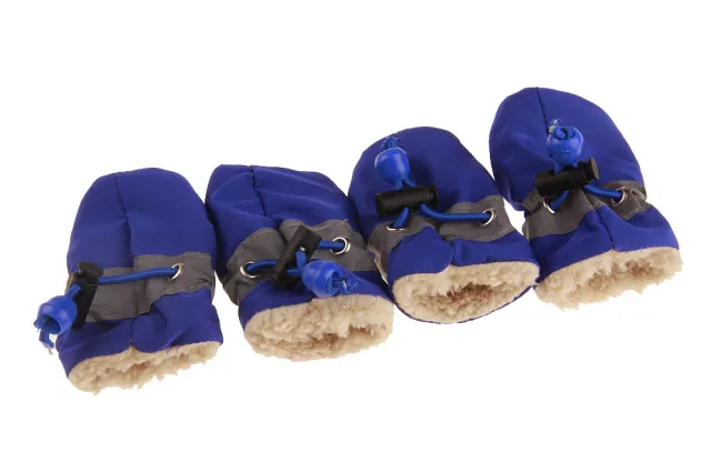 Dog Shoes Blue - Shop at LoveMi