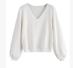 Casual Lantern Sleeve Shirt