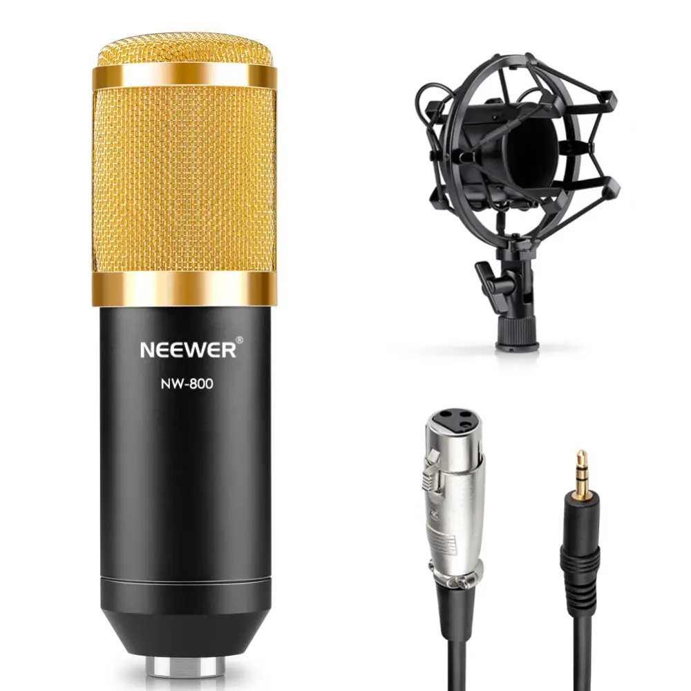 Nw 800 Condenser Microphone Shock Mount Power Cab