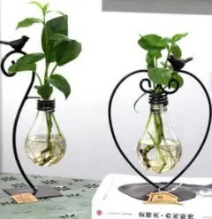Hydroponic Plant Vessel Indoor Green Plants Glass Planter Pot with Steel Stand - View 1