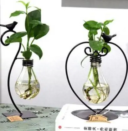 Hydroponic Plant Vessel Indoor Green Plants Glass Planter Pot with Steel Stand - Shop at LoveMi