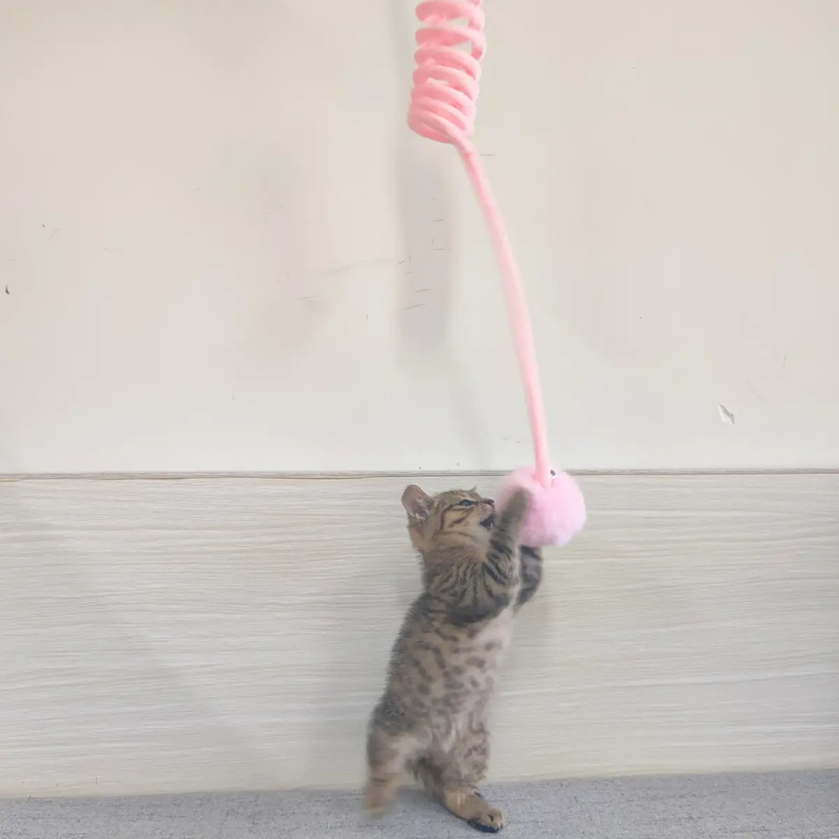 Cat Toy Self-Hi Sucker Spring Rabbit Hair