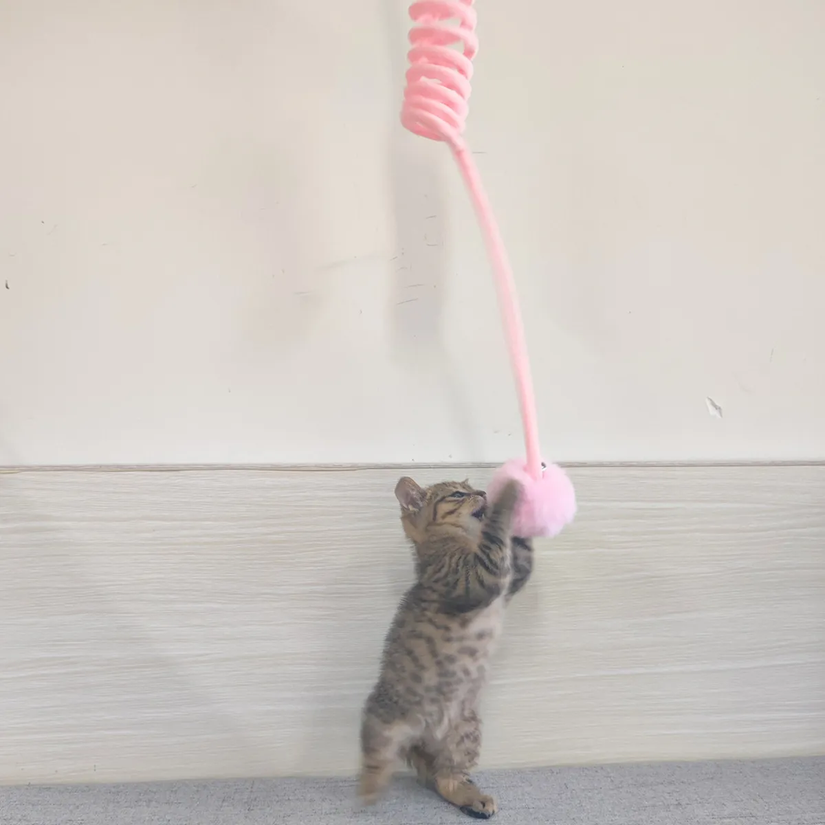 Cat Toy Self-Hi Sucker Spring Rabbit Hair Ball Interactive Play Pet Supplies Interactive Toys – image 3