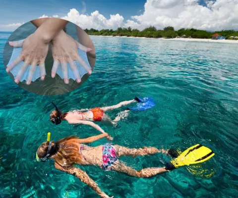 1 Pair Unisex Frog Type Swimming Girdles Hand Flippers
