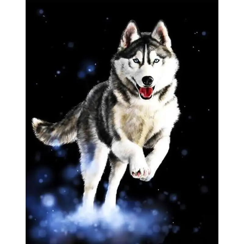 Huskie Painting