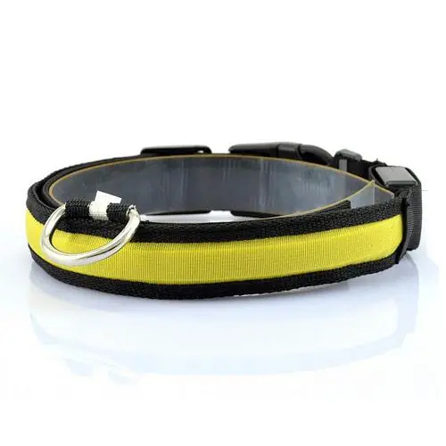 Vibrant LED Dog Collar Yellow - Shop at LoveMi