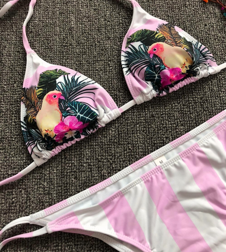 Stripes Sexy Brazilian Bikini