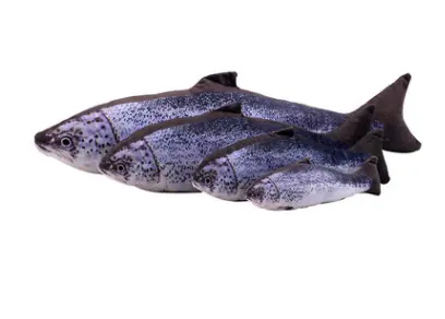 Creative Catnip Fish Pet Plush Toy Cat