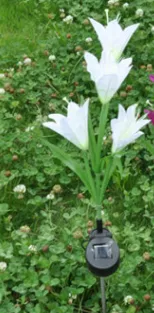 Solar LED Lily Flower Shape Color Changing Light for Garden Lawn Decoration White - Shop at LoveMi