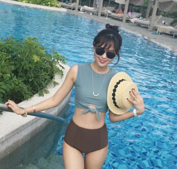South Korea's new vest models bikini small chest gathered bikini triangle swimsuit spot