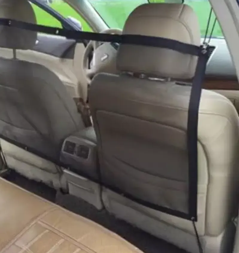 Car isolation network Pet Dog fence Prevent