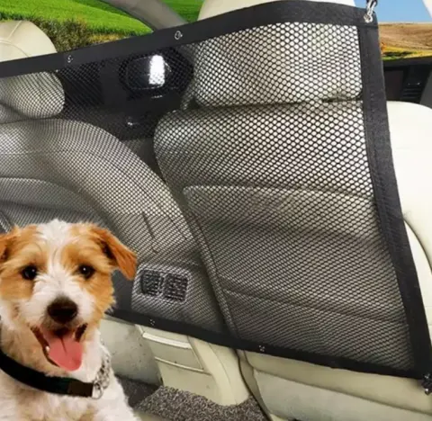 Car Car Isolation Network Pet Dog Fence Prevent Children
