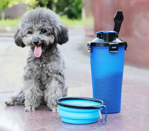 2 in 1Pet Water Bottle Dispenser Travel Portable Dog
