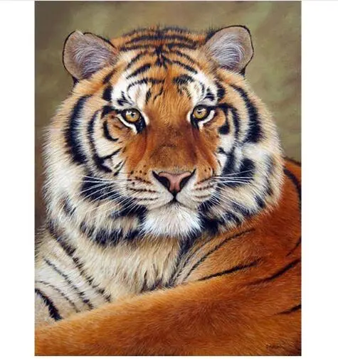 5D Diamond Picture Frameless Round Diamond Square Diamond 20X25 - Shop at LoveMi