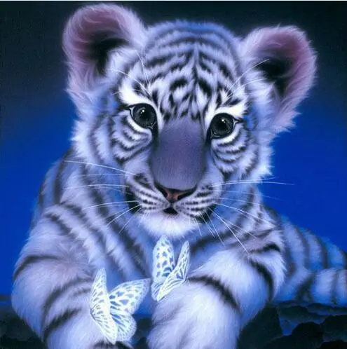 Diamond Embroidered Tiger 5D Diy Diamond Painting 40X40 - Shop at LoveMi