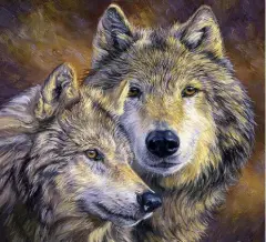 Beauty home diy diamond embroidery set wolf full square diamond drill picture 5d image stones Wall decoration animal - View 1