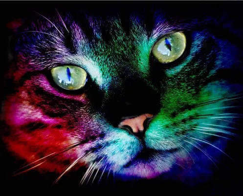 Cat Diamond Painting New Crystal Diamond Embroidery Painting 20X25Cm - Shop at LoveMi