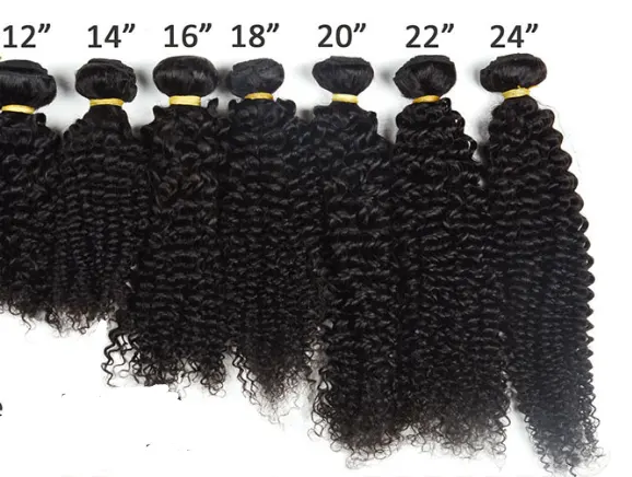 Brazil Hair Curtain Wig Kinky Curly Wave Human