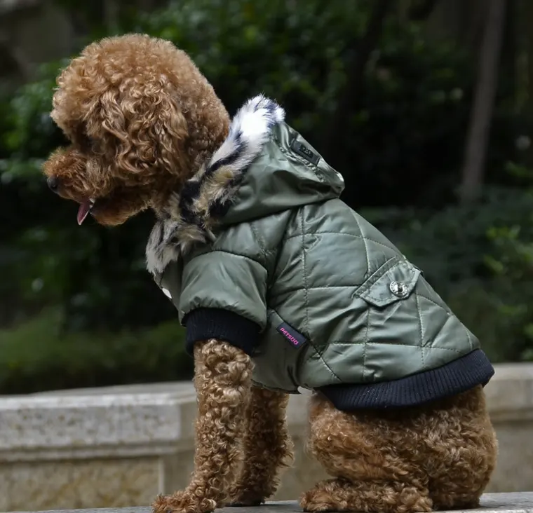 Pet Supplies Pet Clothes Dog Autumn and Winter Fur