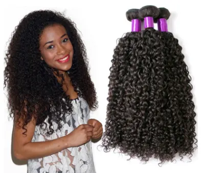 Brazilian Virgin Human Hair Kinky Curly Brazil Real Wig