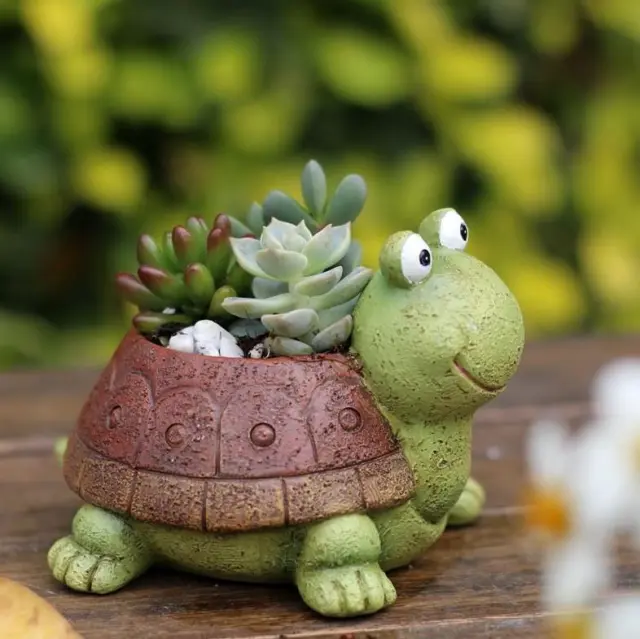Little Turtle Plants Pot - Shop at LoveMi