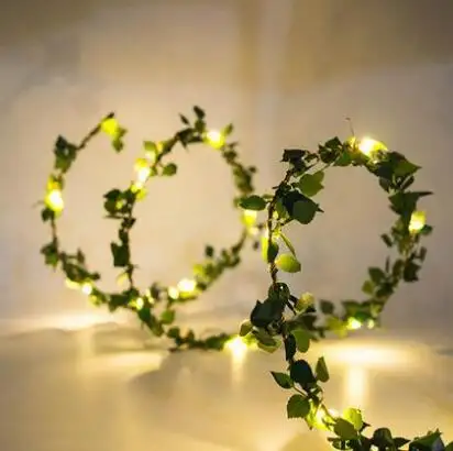 2M LED String Lights