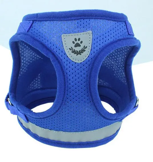 Dog Harness And Leash Set - Blue