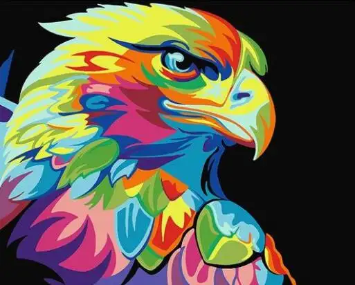 Aigle Multicolor