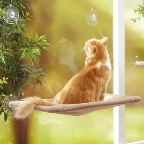 Pet Hanging Beds Cat Sunny Window Seat Mount Hammock