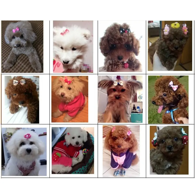 Double-layer Pet Hair Bows Assorted Colors