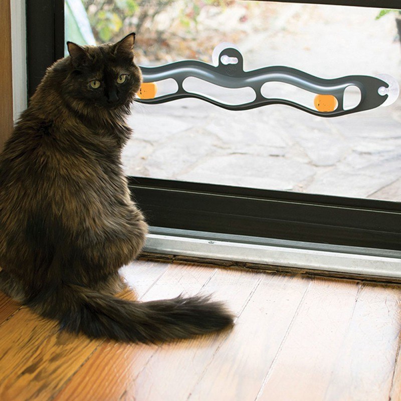 Interactive Track Ball Window Suction Cup Toy Catnip Balls Massage Plastic Sucker Funny Cat Game Intelligence Toy — foto 2