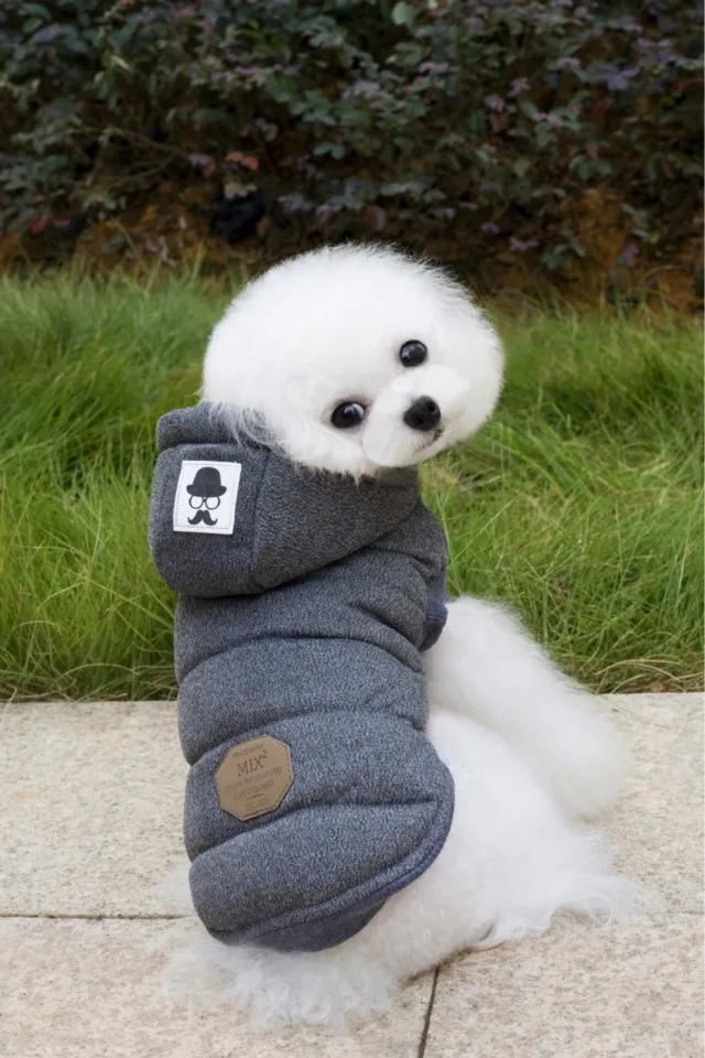 Small Pet Mustache Two legged Autumn And Winter Coat Gray - Shop at LoveMi