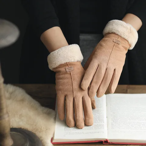 Gloves Female Autumn and Winter Warm Korean Version Plus