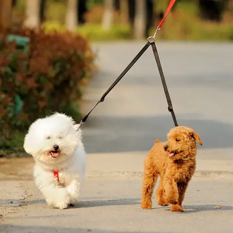 WALK 2 Two DOGS Leash COUPLER Double Twin Lead