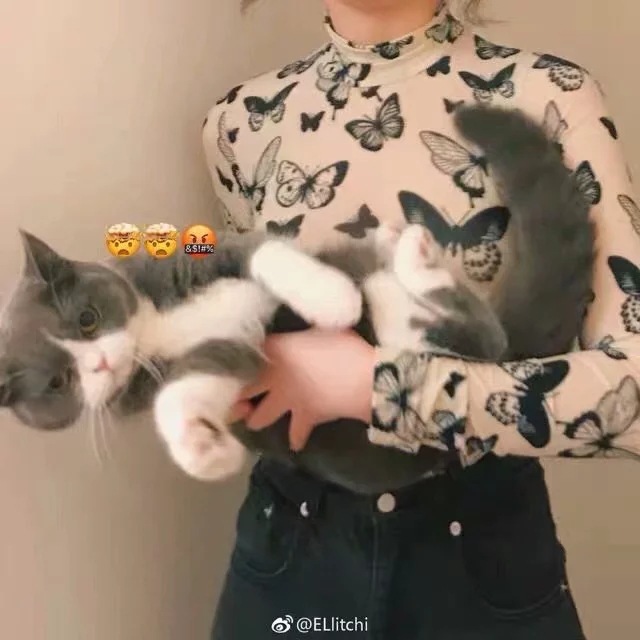 Butterfly Print Half Turtleneck Long Sleeve T-Shirt Slim Shirt