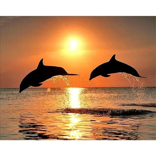 XXL 5D Diamond Painting Delphine bei Sonnenuntergang 2 25X30Cm - Shop at LoveMi