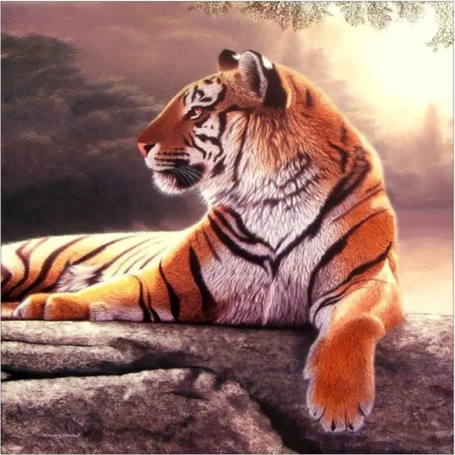 XXL 5D Diamond Painting Liegender Tiger 20X20Cm - Shop at LoveMi