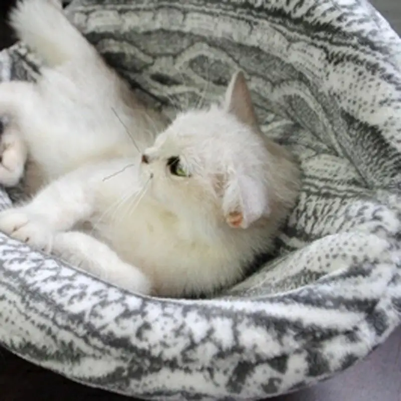 Spherical Cat House With Round Openin Your Cat Will Love It Cat Playhouse