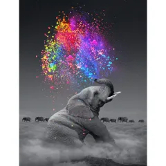 3D Living Room Decoration Canvas Full Of Diamond Paintings - 30X45Cm - View 1