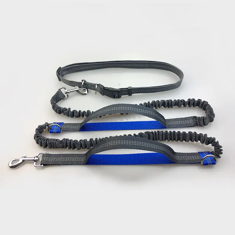 Amazon direct pet supplies multi-function running reflective