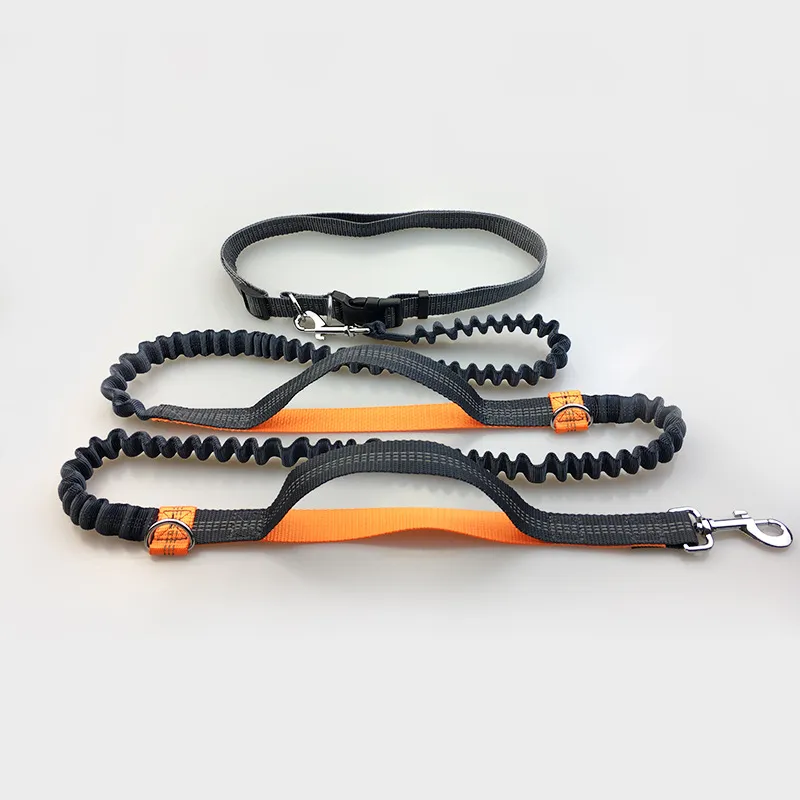 Amazon direct pet supplies multi-function running reflective pull dog leash double elastic dog leash traction – image 3