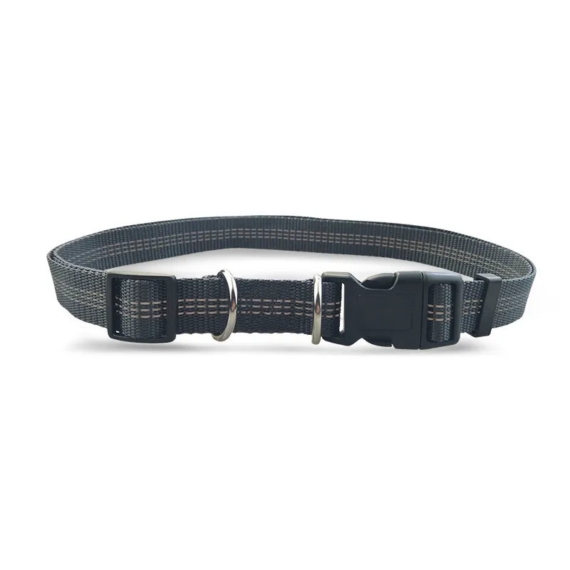 Amazon direct pet supplies multi-function running reflective pull dog leash double elastic dog leash traction – image 4
