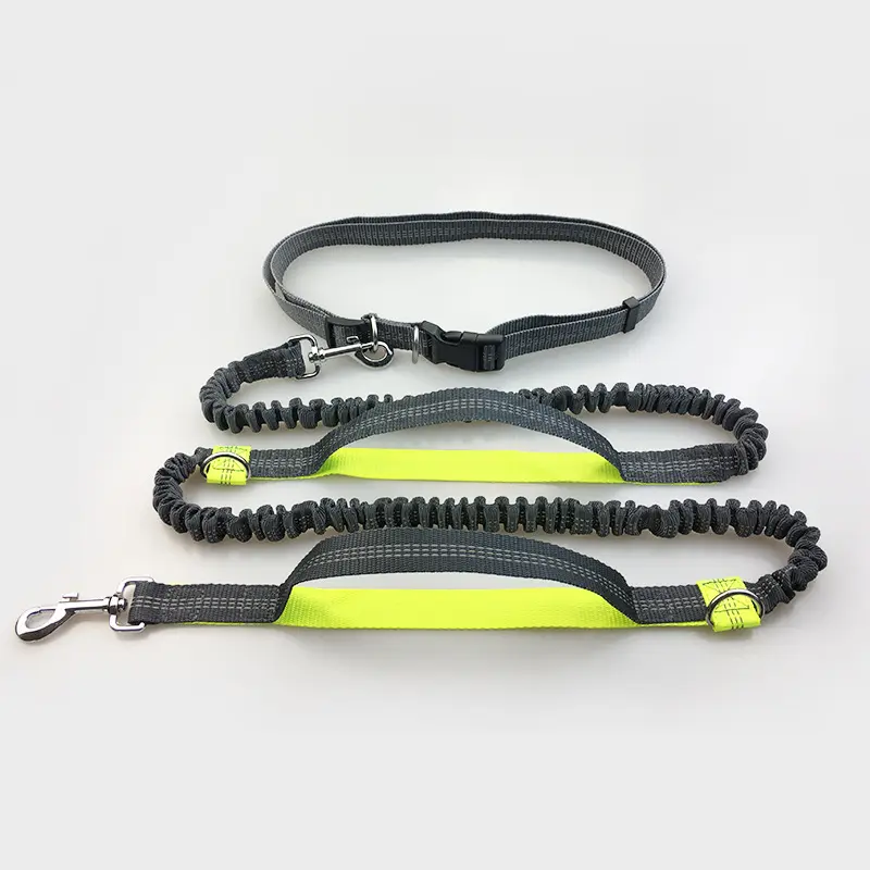 Amazon direct pet supplies multi-function running reflective