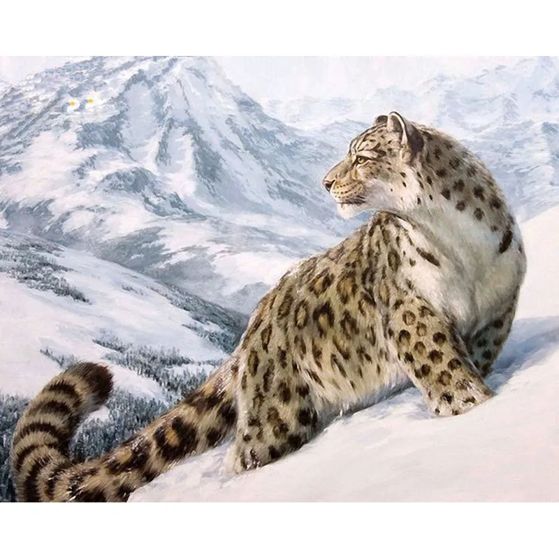 Snow leopard digital painting - No Inner Frame 40X50Cm