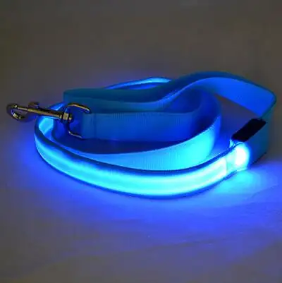 LED Illuminated Traction Nylon Pet Leash