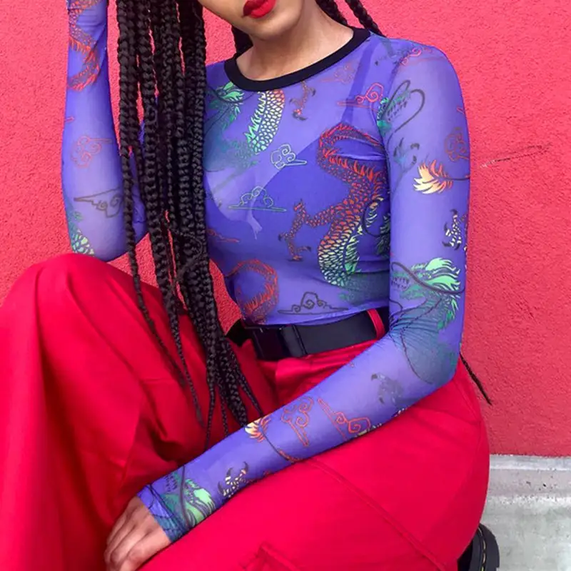 Dragon print mesh long sleeve