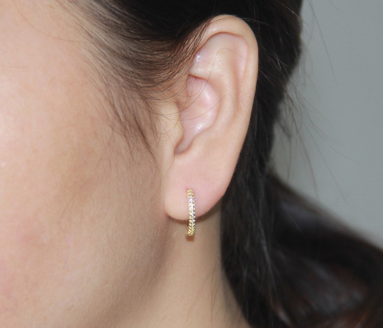 S925 sterling silver earrings