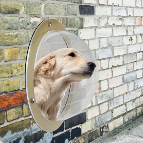Pet Acrylic Small Fence Window