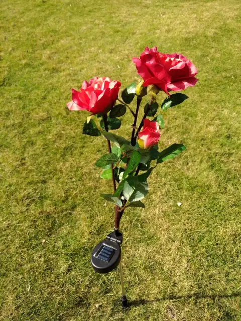 Solar Rose Lamp 3LED Plug in the Sun Nen